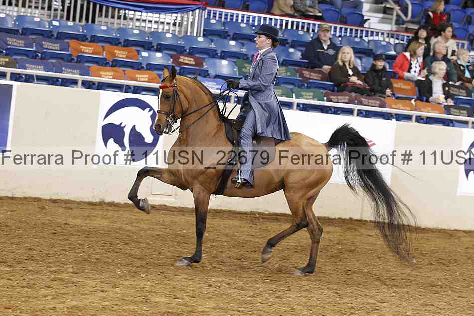Proof 11usn_22679