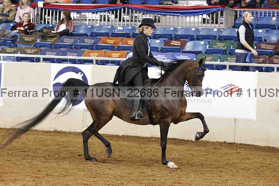 Proof 11usn_22686