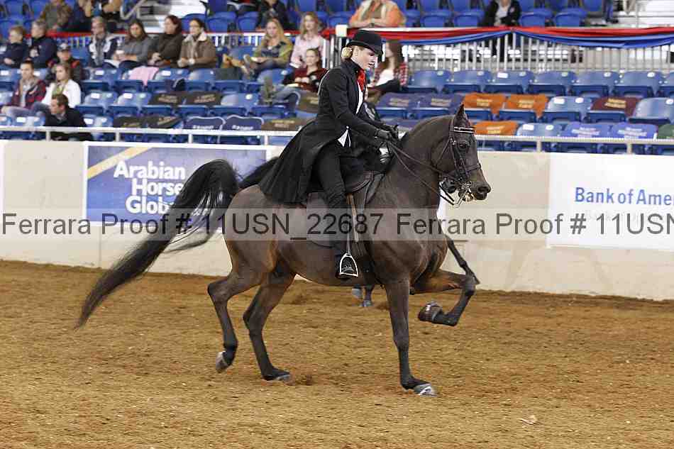 Proof 11usn_22687