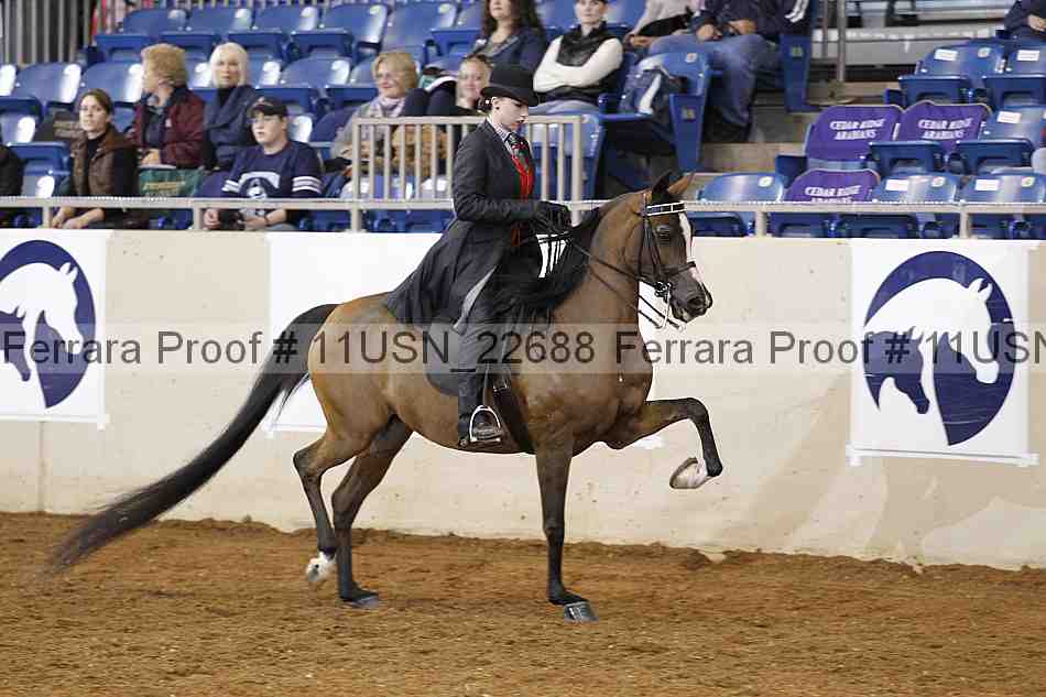 Proof 11usn_22688