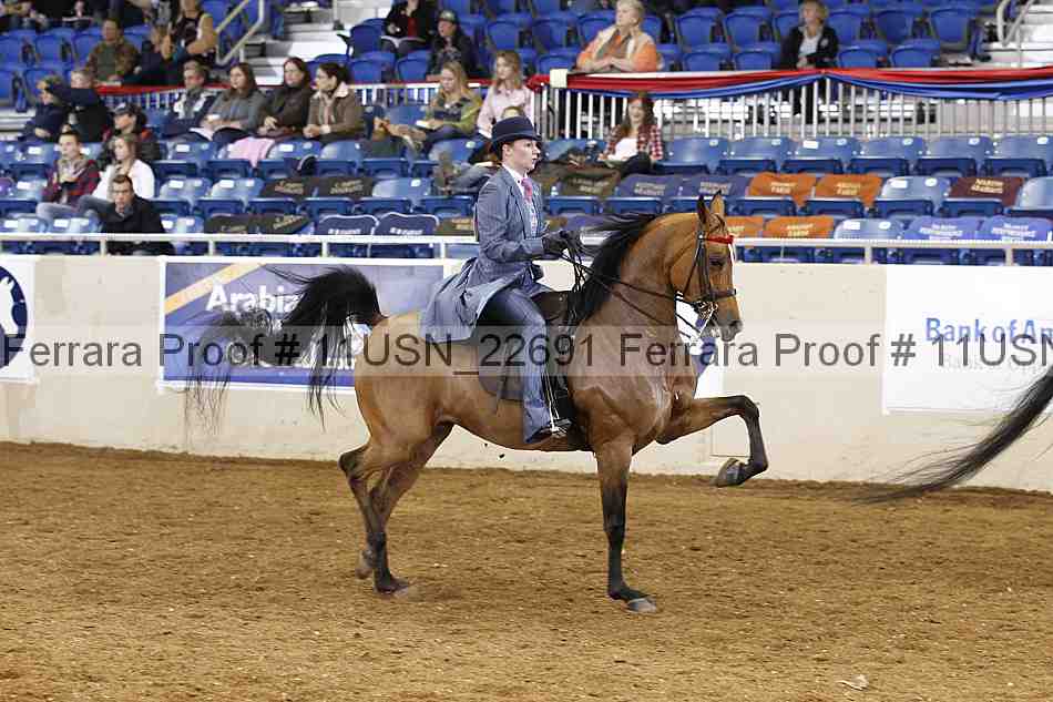 Proof 11usn_22691