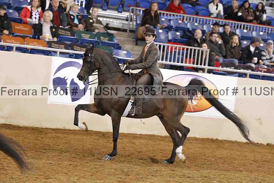 Proof 11usn_22695