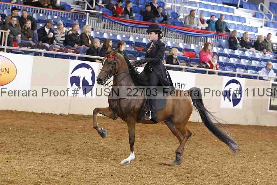 Proof 11usn_22703