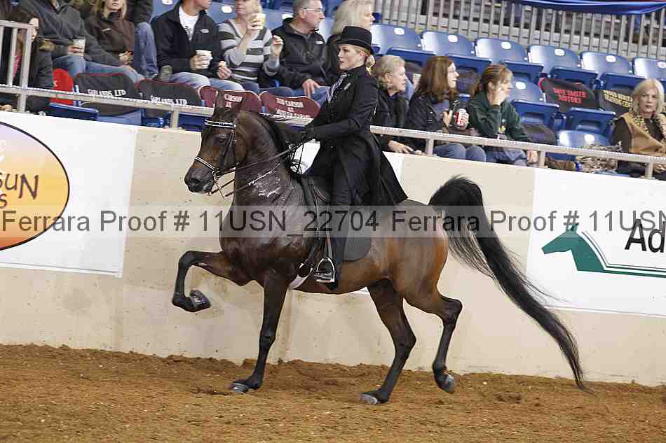 Proof 11usn_22704