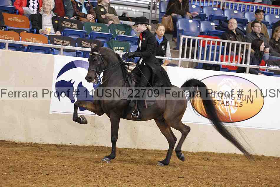 Proof 11usn_22709