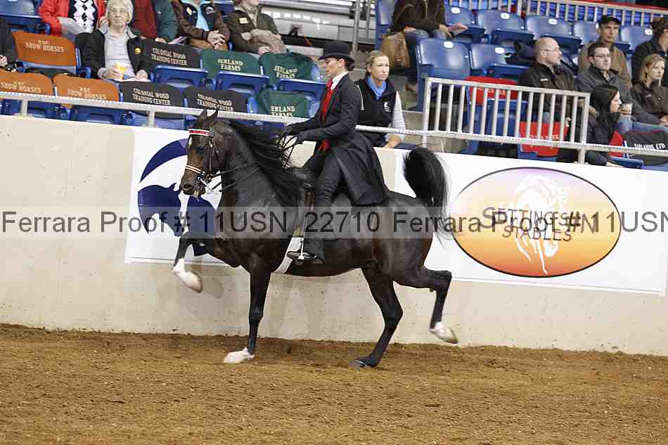 Proof 11usn_22710