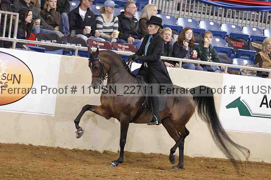 Proof 11usn_22711