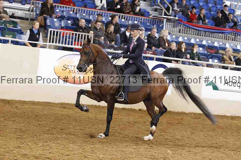 Proof 11usn_22713