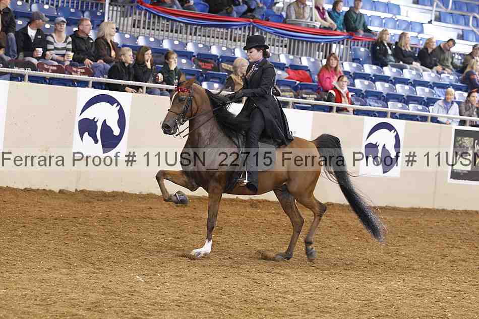 Proof 11usn_22715