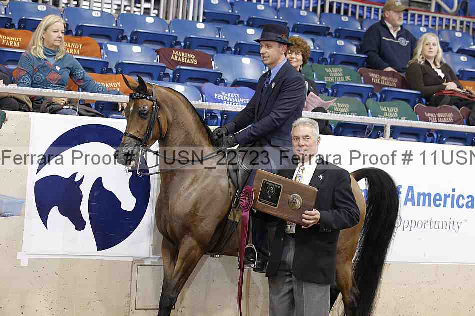 Proof 11usn_22723