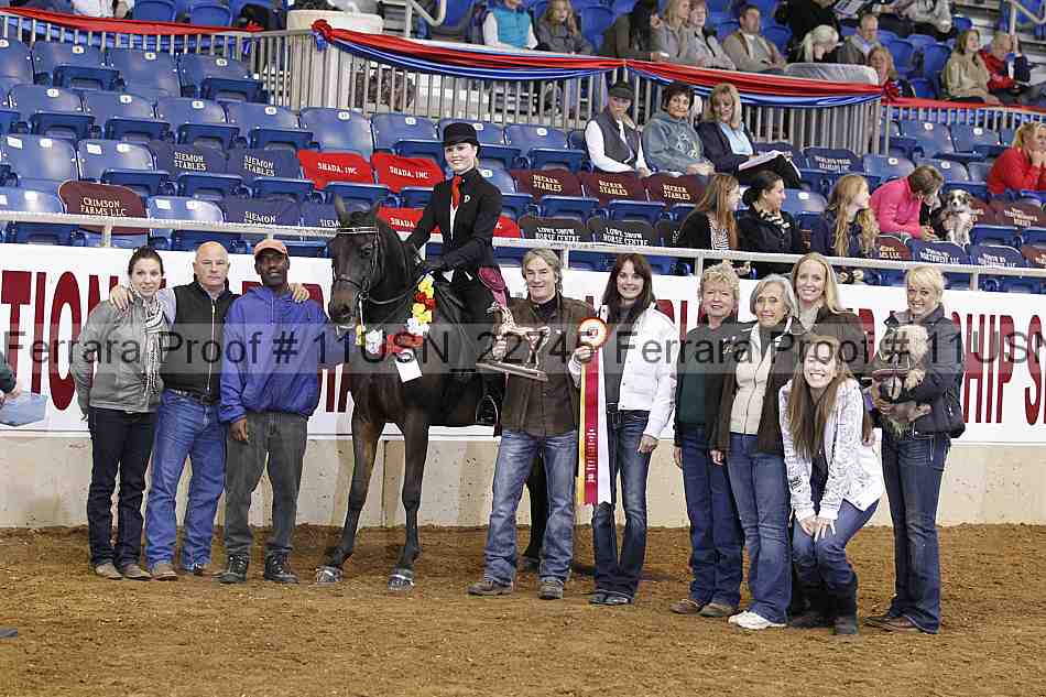 Proof 11usn_22745