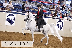11usn_10602 proof