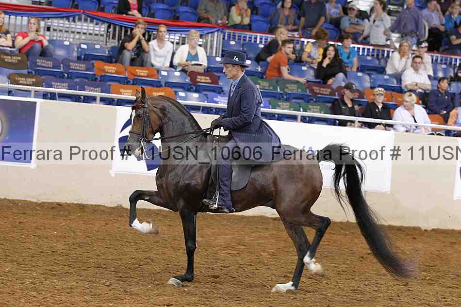 Proof 11usn_10606