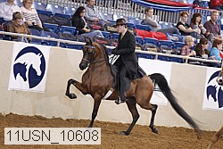 11usn_10608 proof