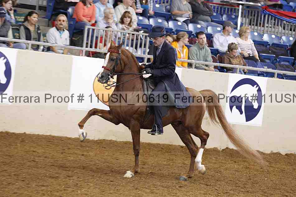 Proof 11usn_10619