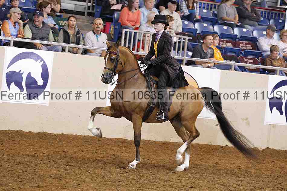 Proof 11usn_10635