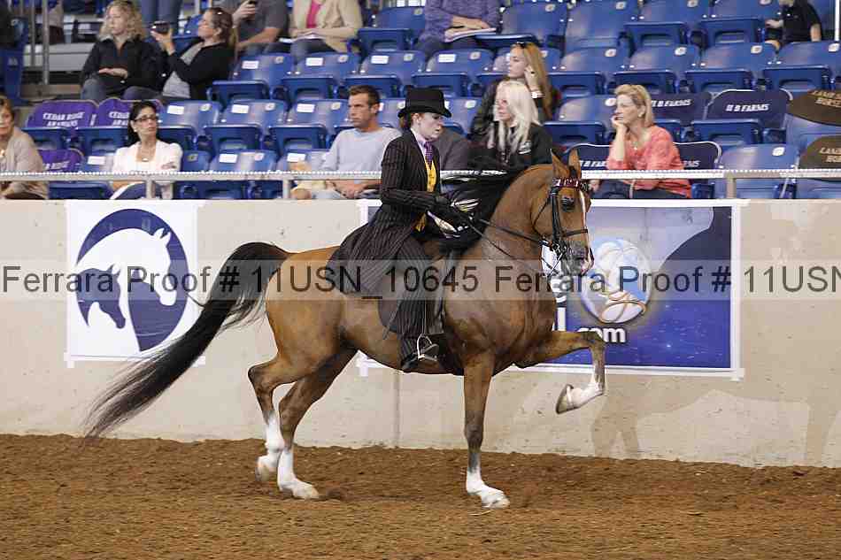 Proof 11usn_10645