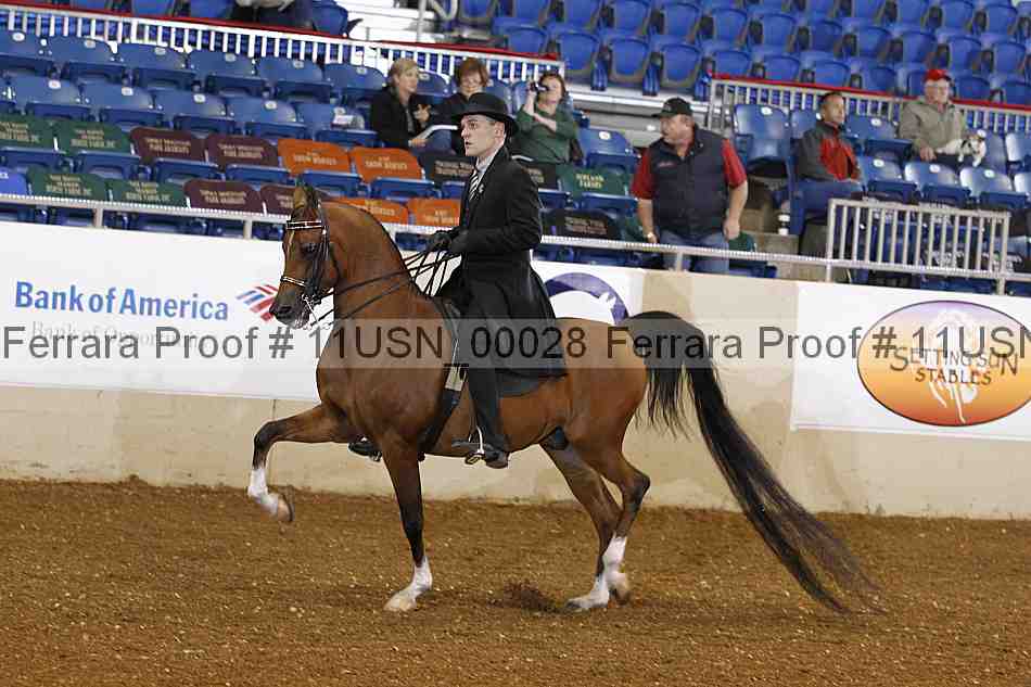 Proof 11usn_00028