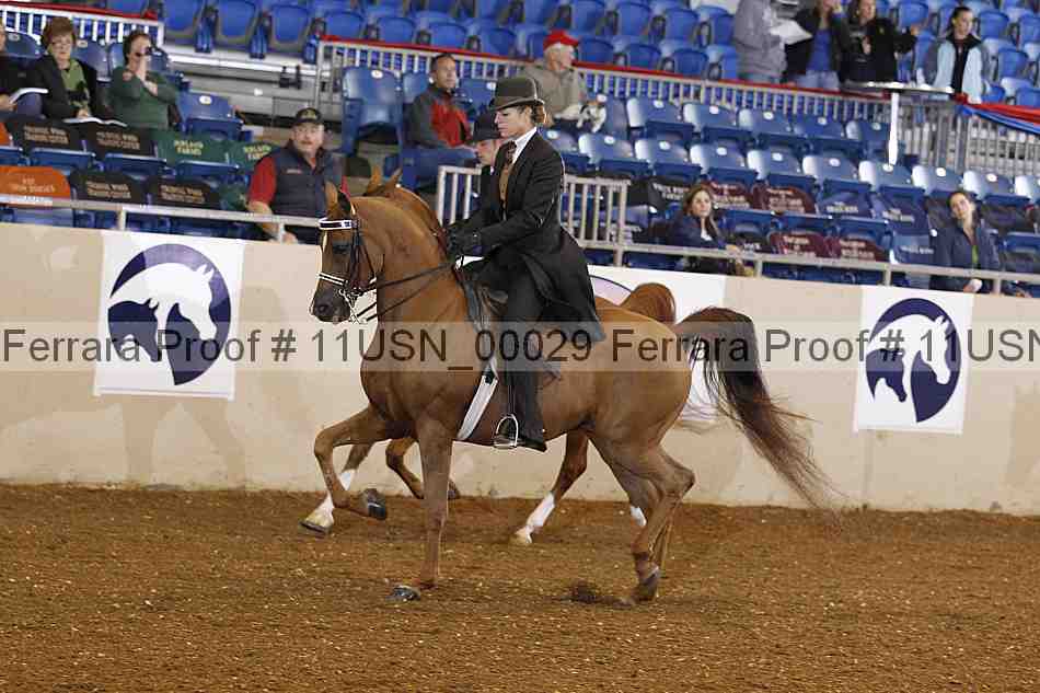 Proof 11usn_00029