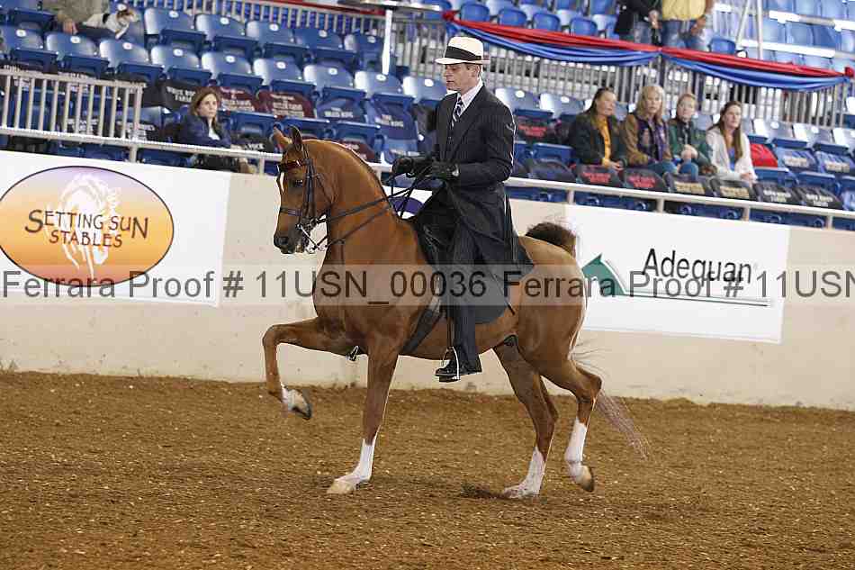 Proof 11usn_00036