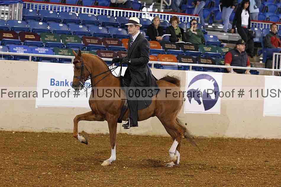 Proof 11usn_00037