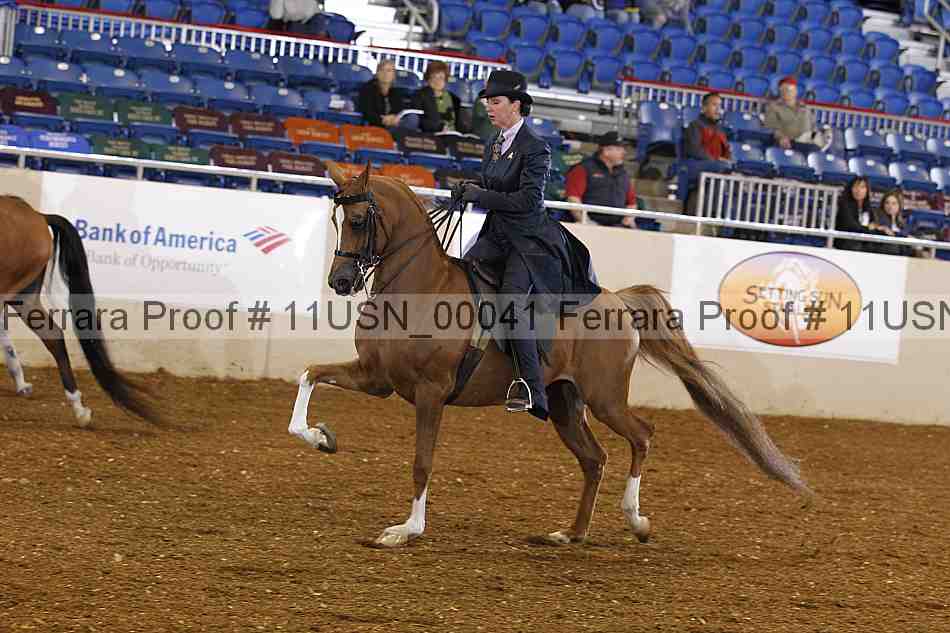 Proof 11usn_00041