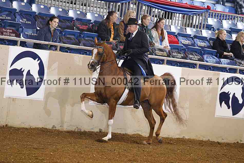 Proof 11usn_00042