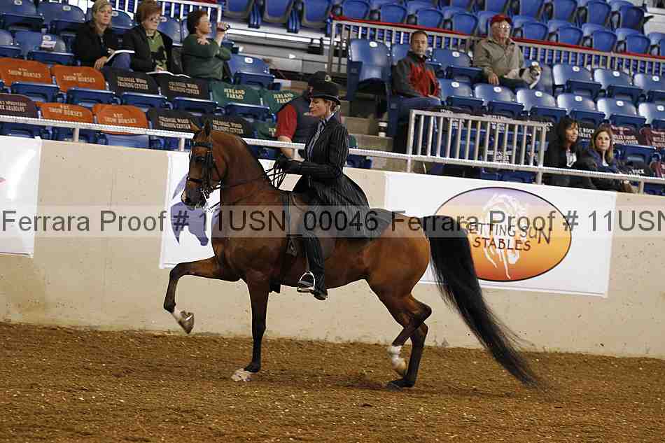 Proof 11usn_00046