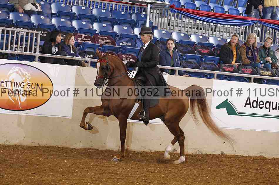 Proof 11usn_00052