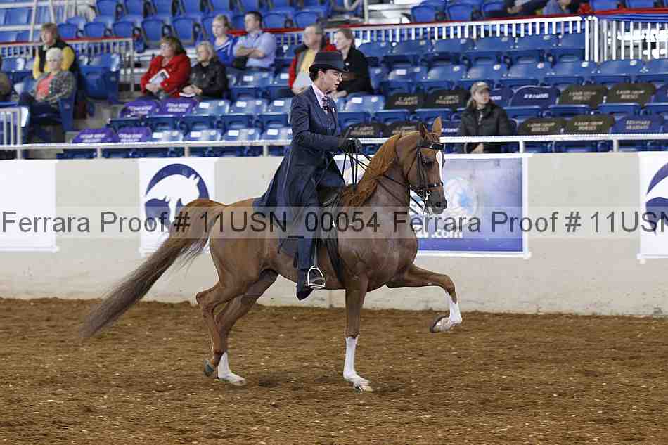 Proof 11usn_00054