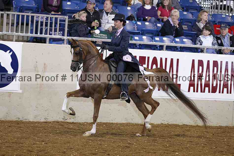 Proof 11usn_00076