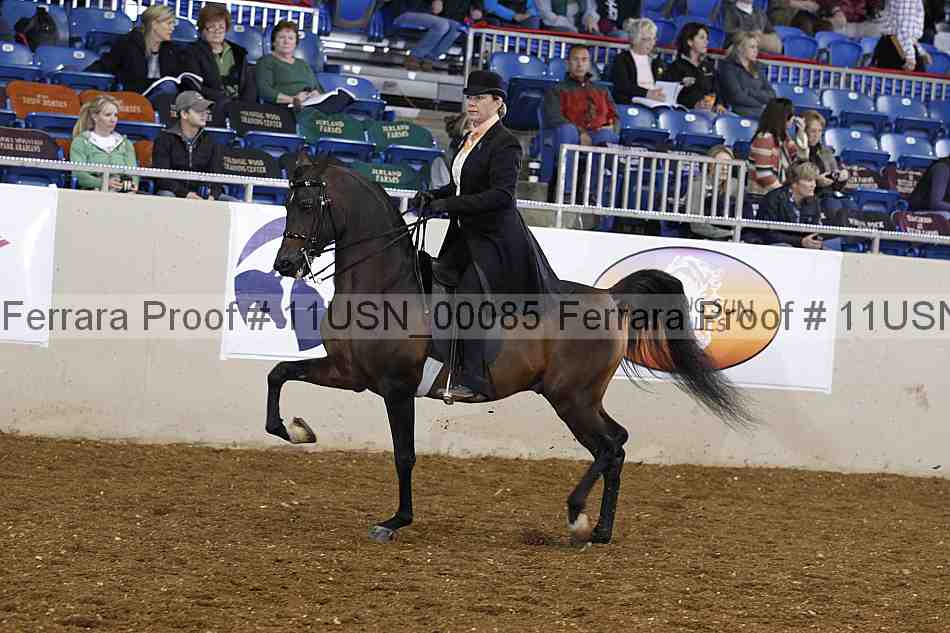 Proof 11usn_00085