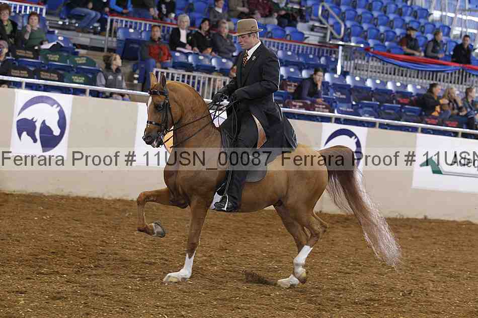Proof 11usn_00087