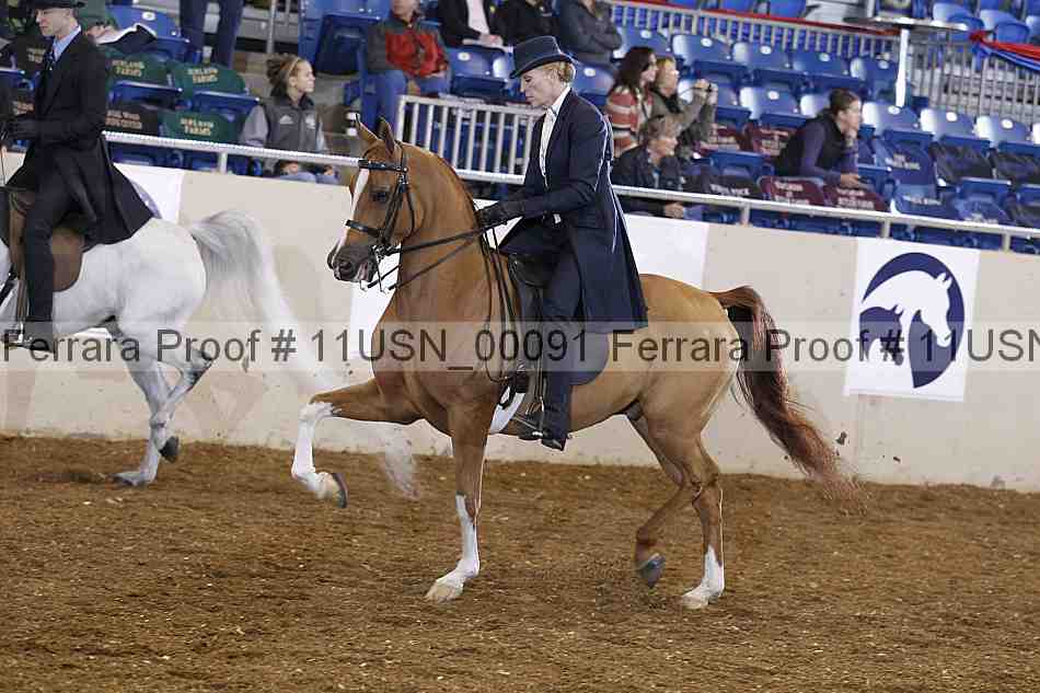 Proof 11usn_00091