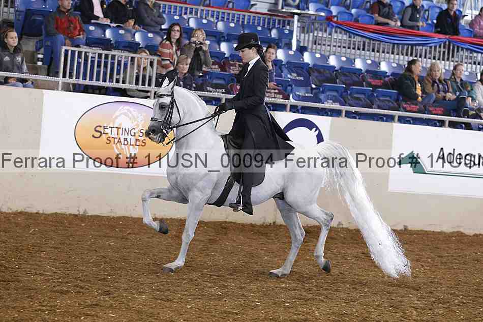 Proof 11usn_00094
