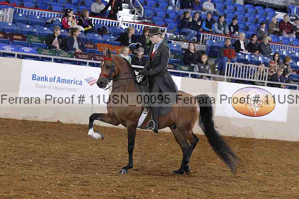 Proof 11usn_00095