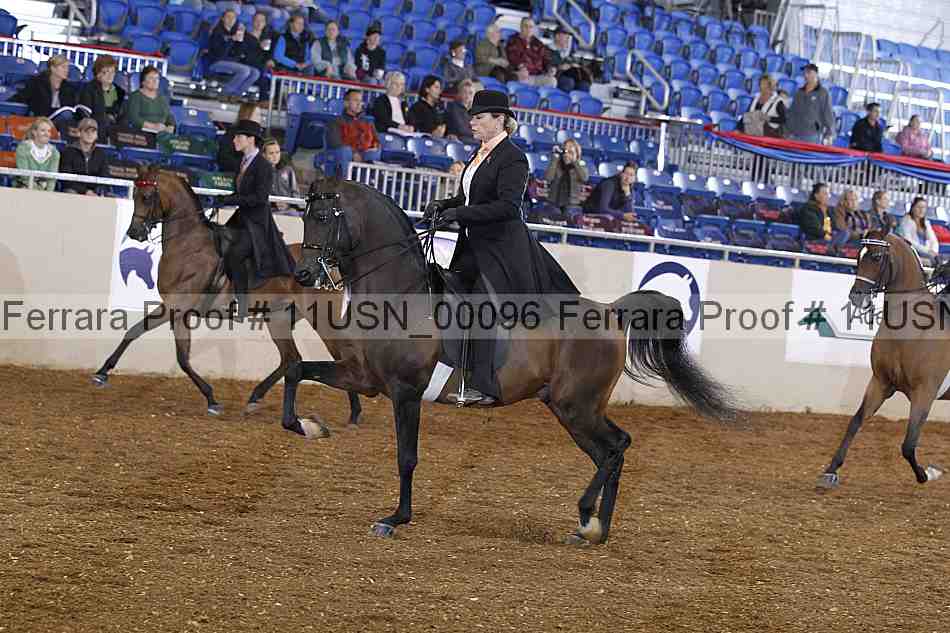 Proof 11usn_00096