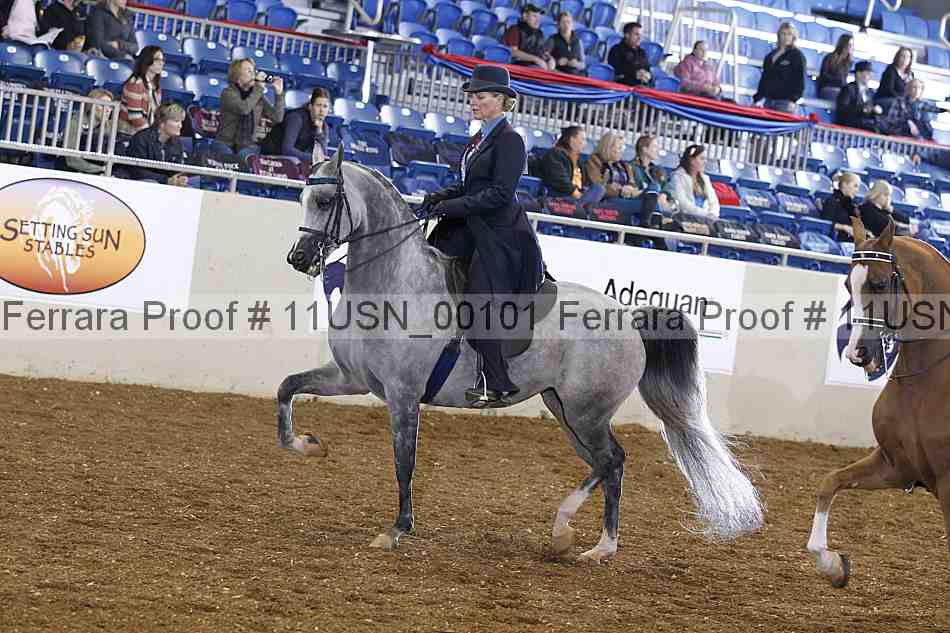 Proof 11usn_00101