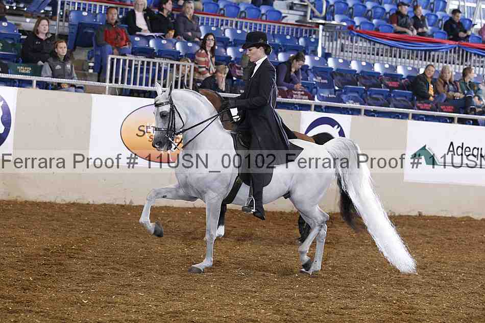 Proof 11usn_00102