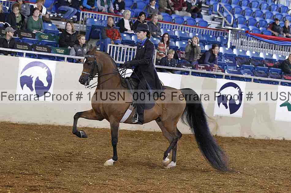Proof 11usn_00106