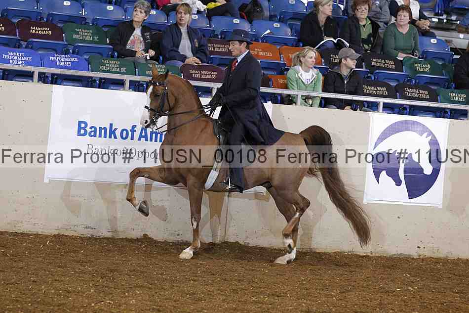 Proof 11usn_00108