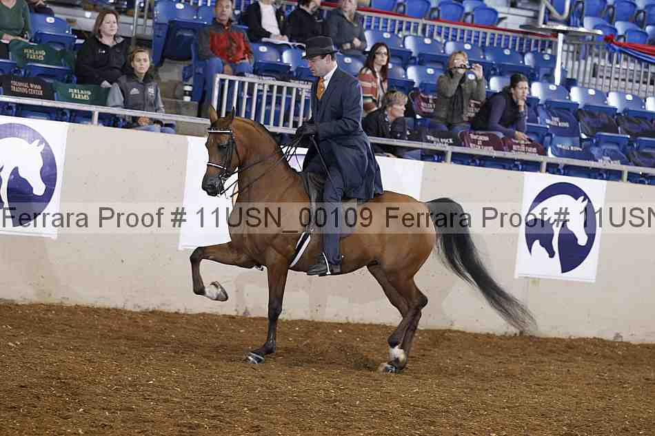Proof 11usn_00109
