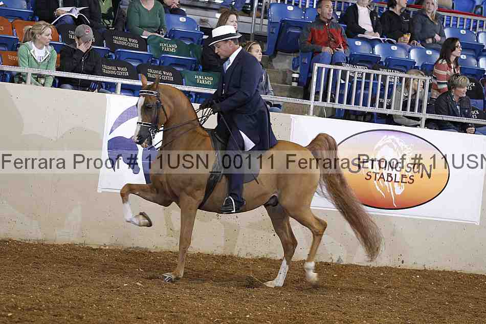 Proof 11usn_00111