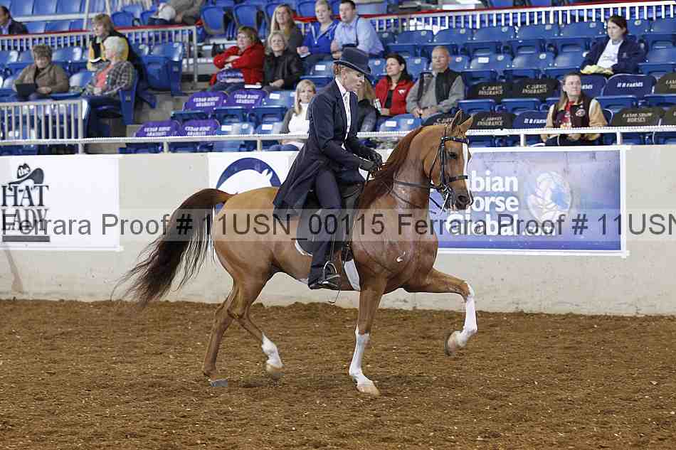 Proof 11usn_00115
