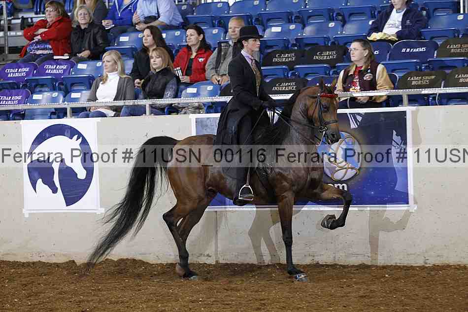 Proof 11usn_00116