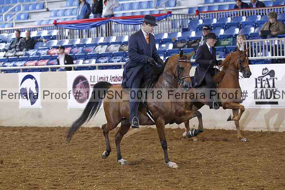 Proof 11usn_00118