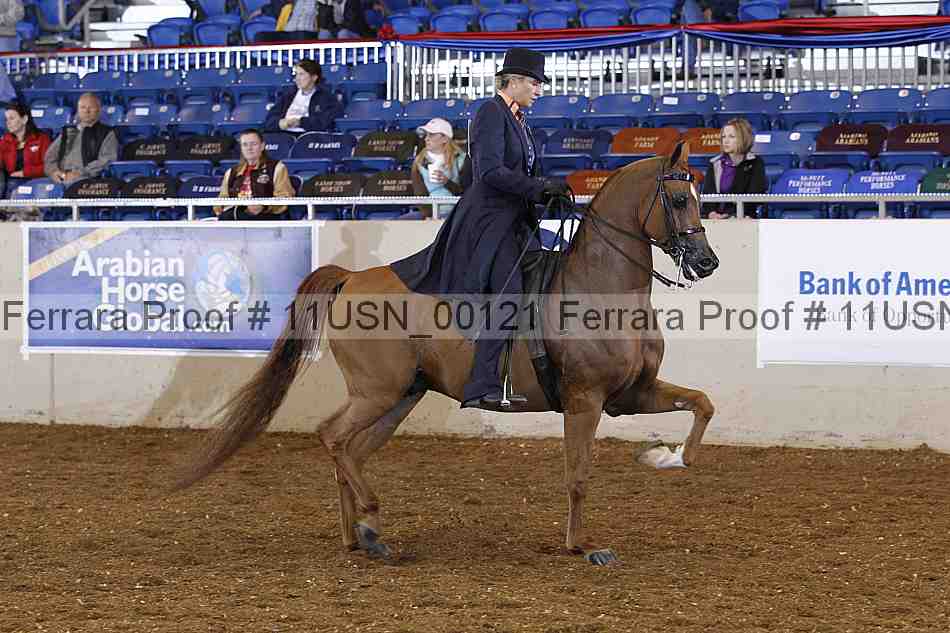 Proof 11usn_00121