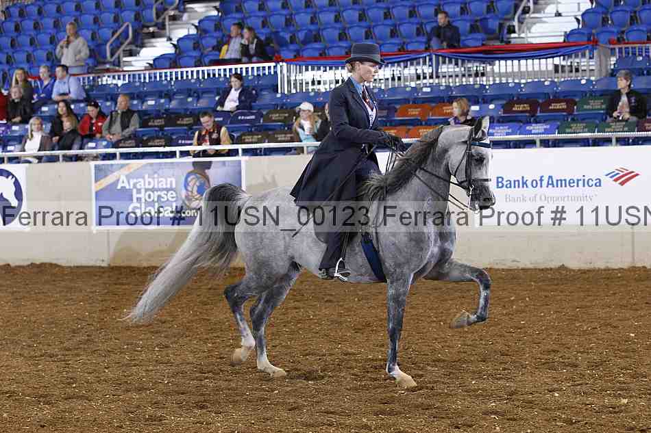 Proof 11usn_00123