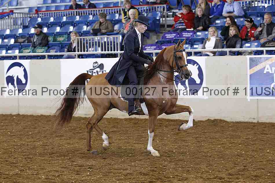 Proof 11usn_00127