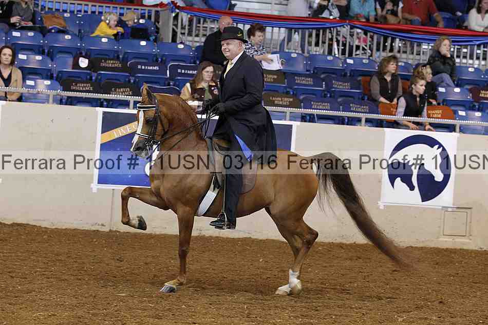 Proof 11usn_03116